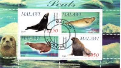 obrázok k predmetu FAUNA - MALAWI - TUL