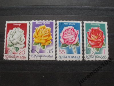 obrázok k predmetu Rumunsko ruže 4 kuso