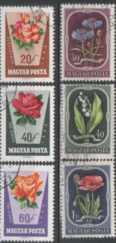 obrázok k predmetu Madarsko zostava  ra