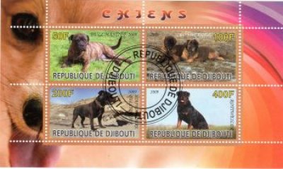 obrázok k predmetu FAUNA - DJIBOUTI - P