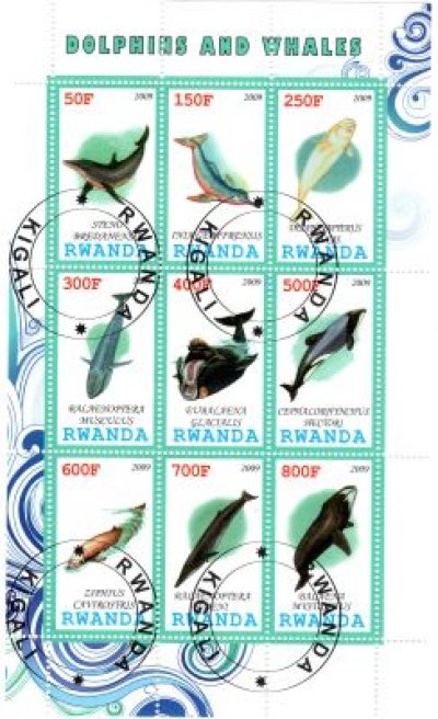 obrázok k predmetu FAUNA - RWANDA - RYB