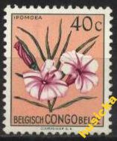 obrázok k predmetu Congo čistá