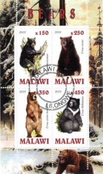 obrázok k predmetu FAUNA - MALAWI - MED