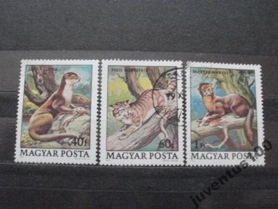obrázok k predmetu Fauna!!!3