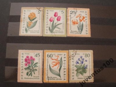 obrázok k predmetu Bulharsko kvety 6 ku