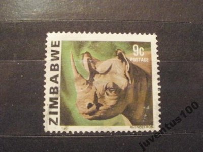 obrázok k predmetu Zimbabwe nosorožec!!