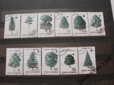 obrázok k predmetu Rumunsko strom 11 ku