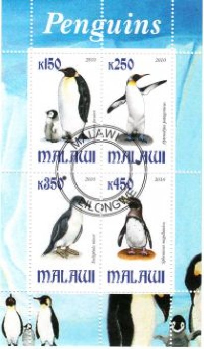 obrázok k predmetu FAUNA - MALAWI - TUČ