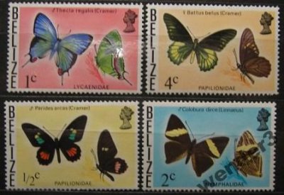obrázok k predmetu Belize motýle 1974-7