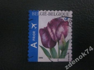obrázok k predmetu Belgicko 2006 razene