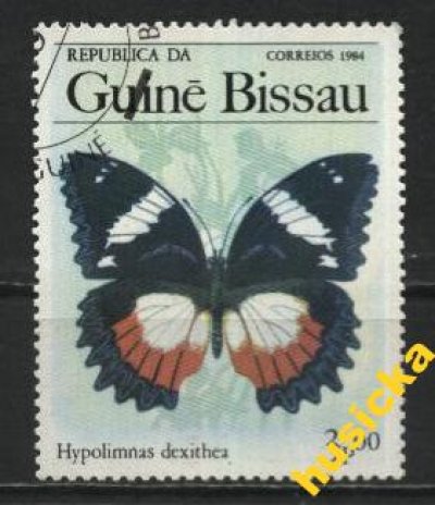 obrázok k predmetu Guinea-Bissau motýl