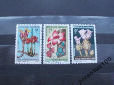 obrázok k predmetu Flóra!!!