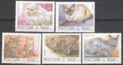 obrázok k predmetu Rusko 1996 ** Domáce