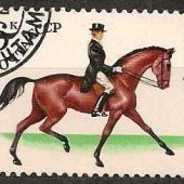 náhľad k tovaru CCCP 1982 - Equestri