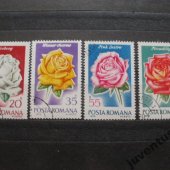 zberateľský predmet Rumunsko ruže 4 kuso  vyrobil lomonosov