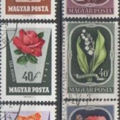 predmet Madarsko zostava  ra  od lomonosov