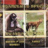 náhľad k tovaru Rwanda, fauna